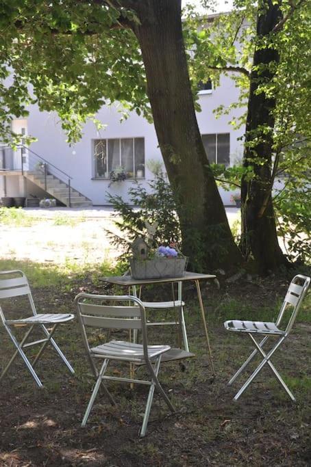 Gite St Nicolas Ancien Corps De Ferme Horticole Freyming-Merlebach Exterior photo